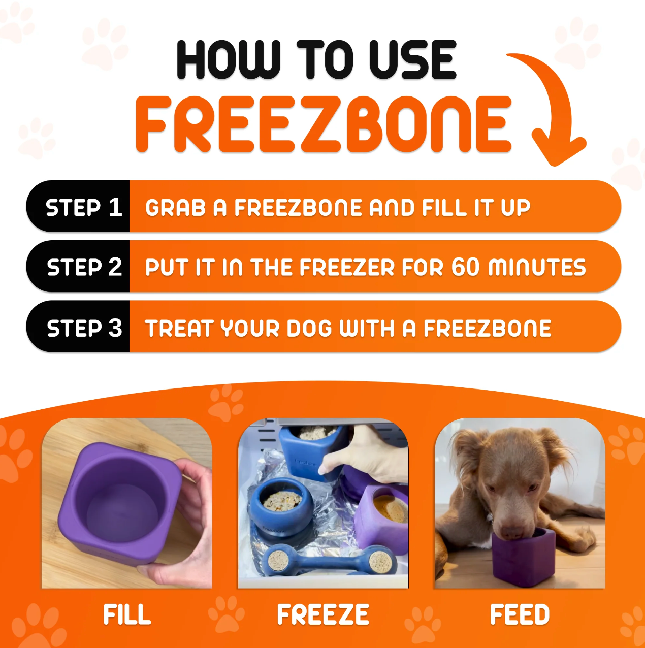 Freez Box