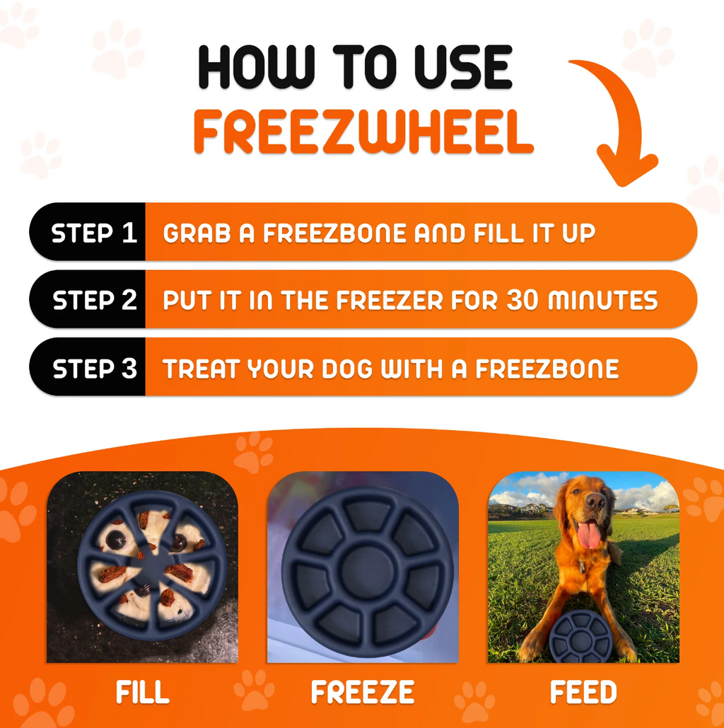 Freez Wheel